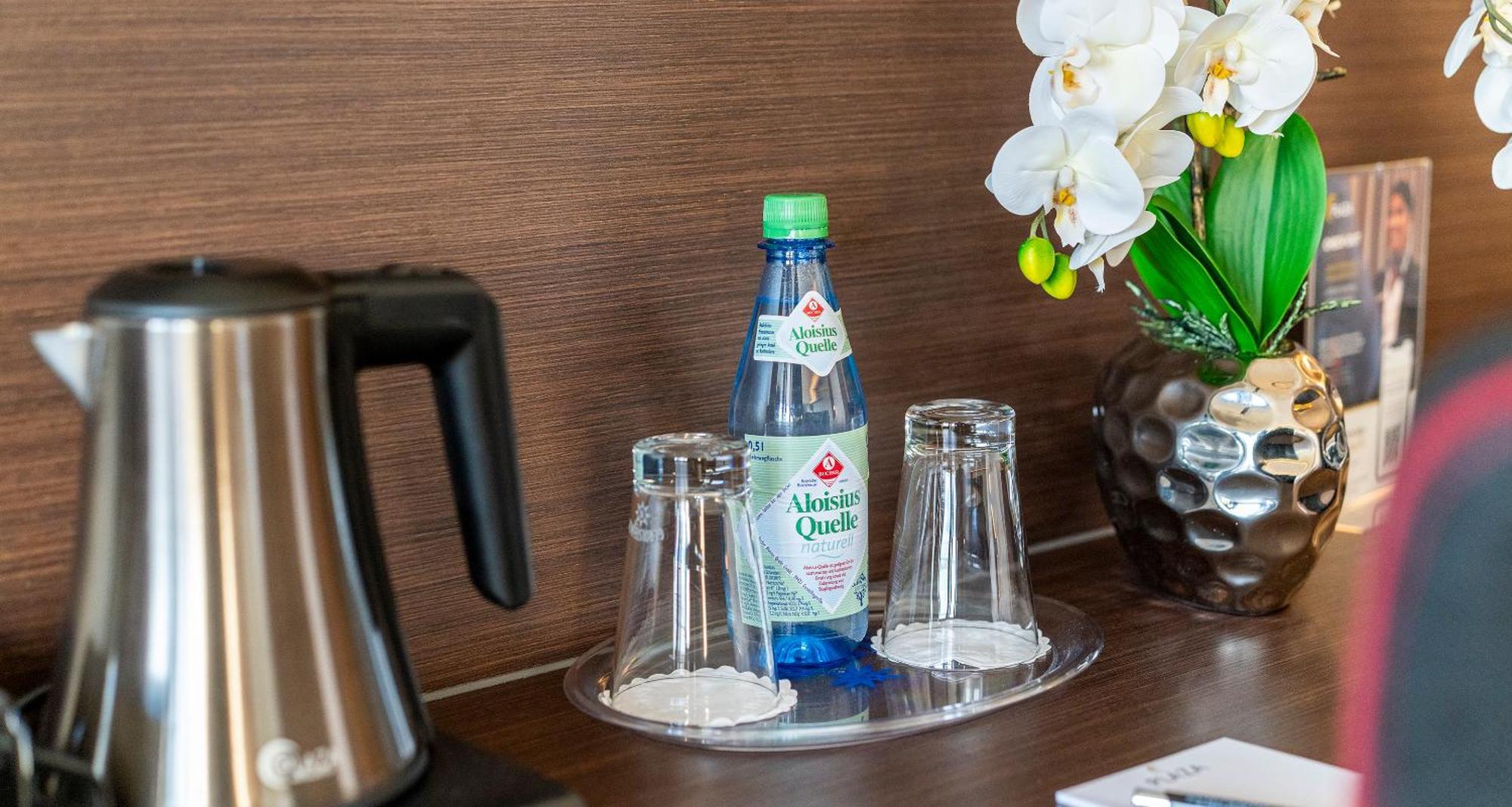 Plaza Hotel Foehr Am Bodensee FDH Εξωτερικό φωτογραφία