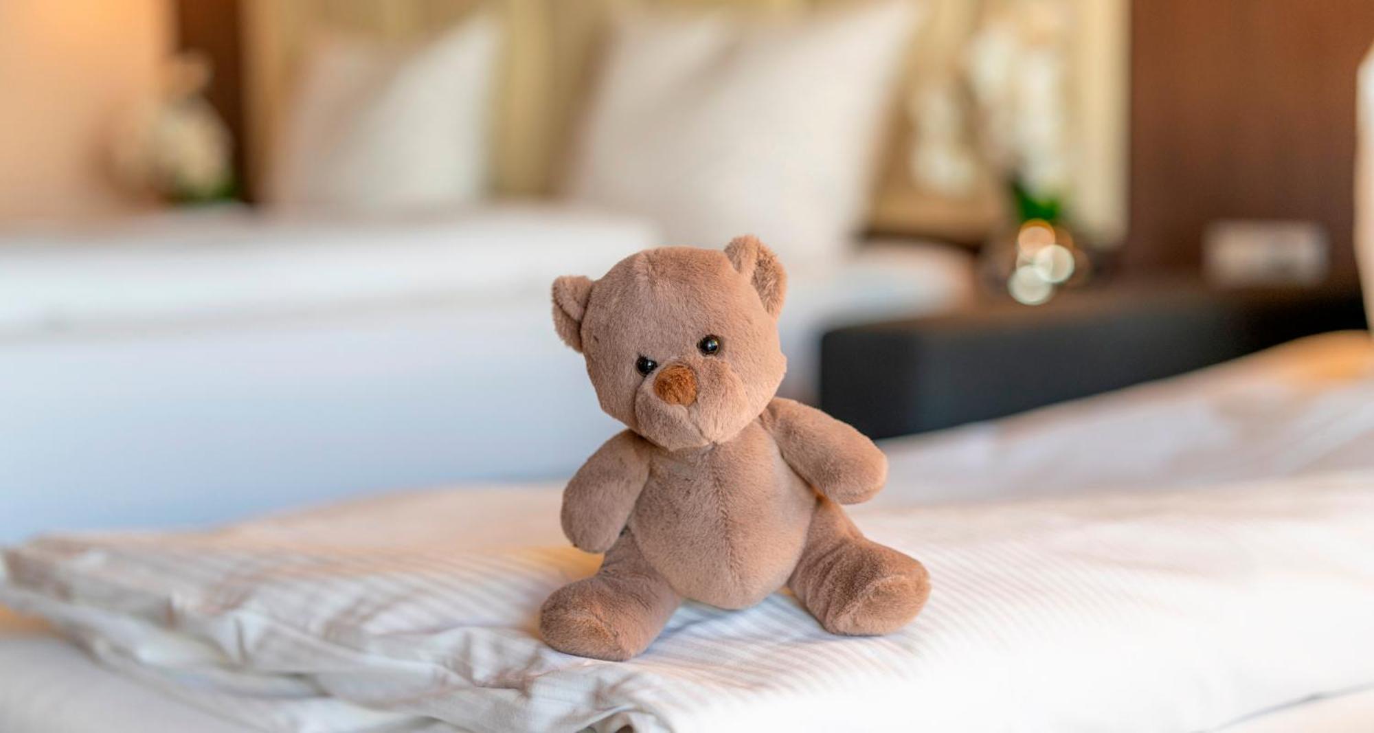 Plaza Hotel Foehr Am Bodensee FDH Δωμάτιο φωτογραφία